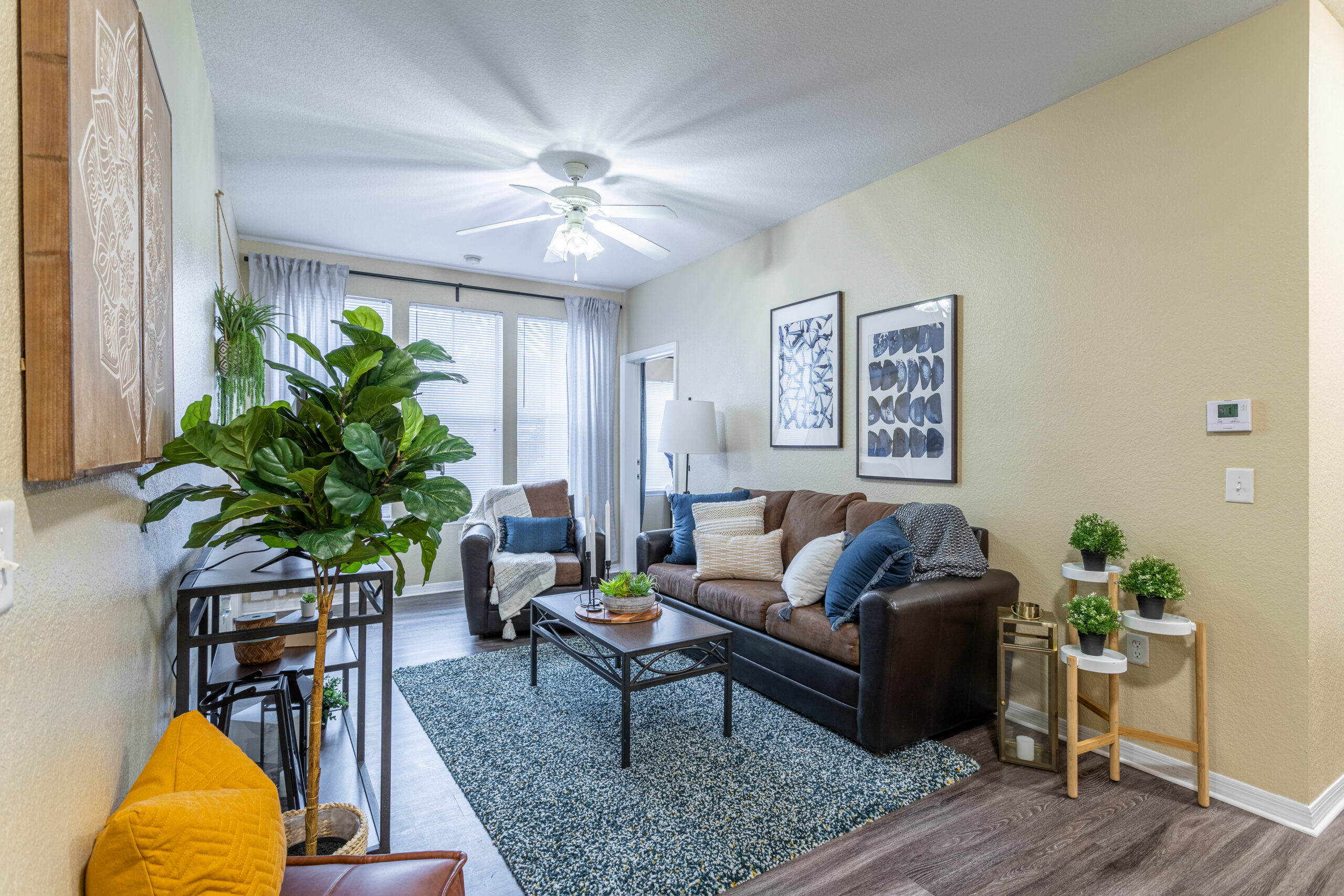 Common living space
